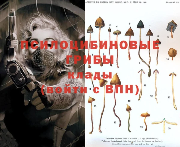 мескалин Вязники