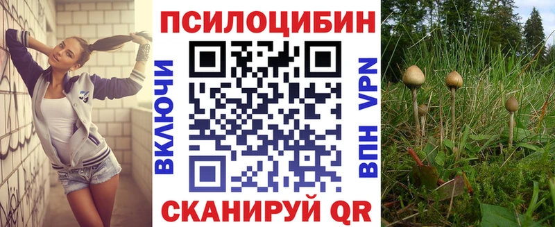 купить наркоту  Демидов  Галлюциногенные грибы мицелий 